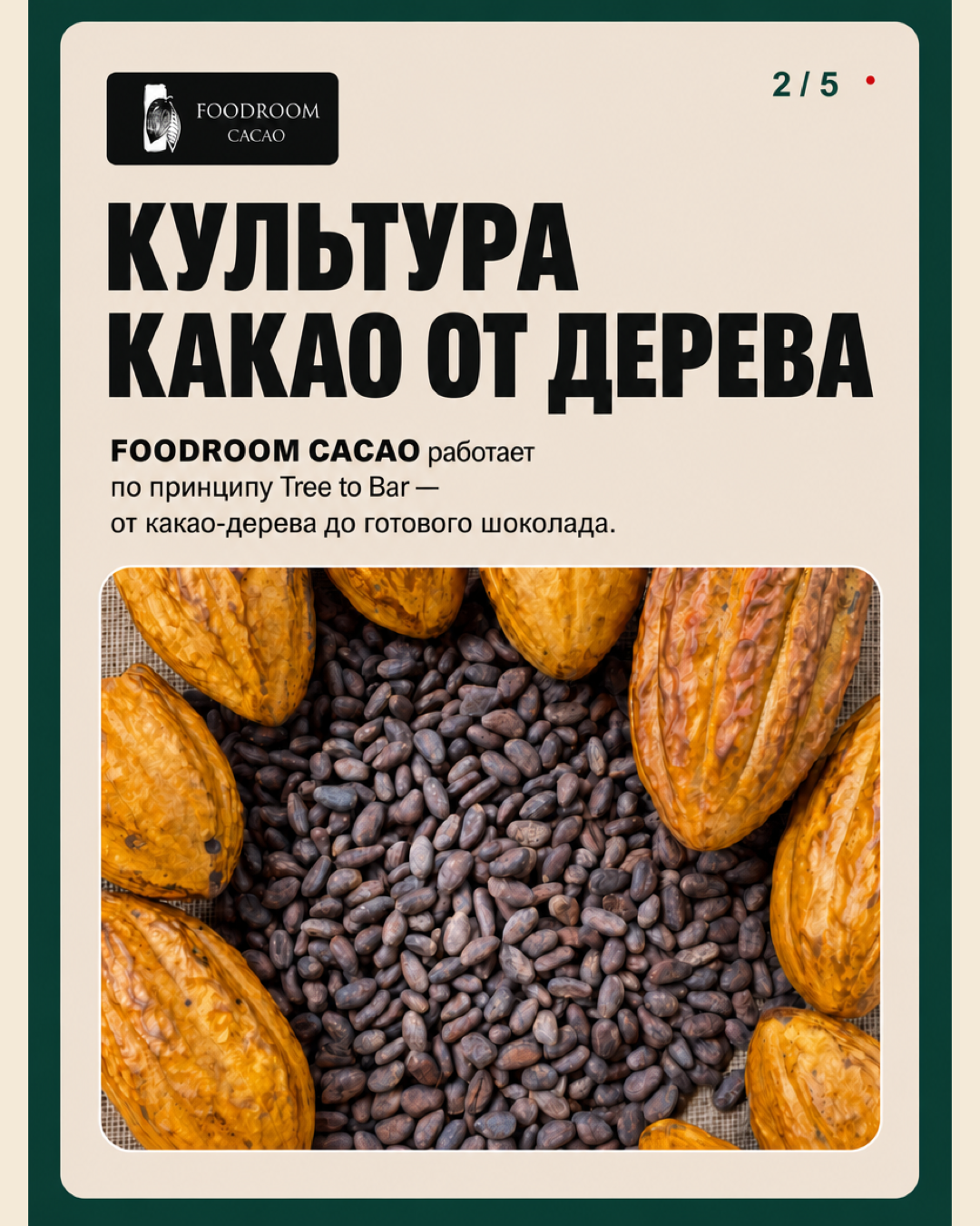 FOODROOM CACAO работает по принципу Tree to Bar