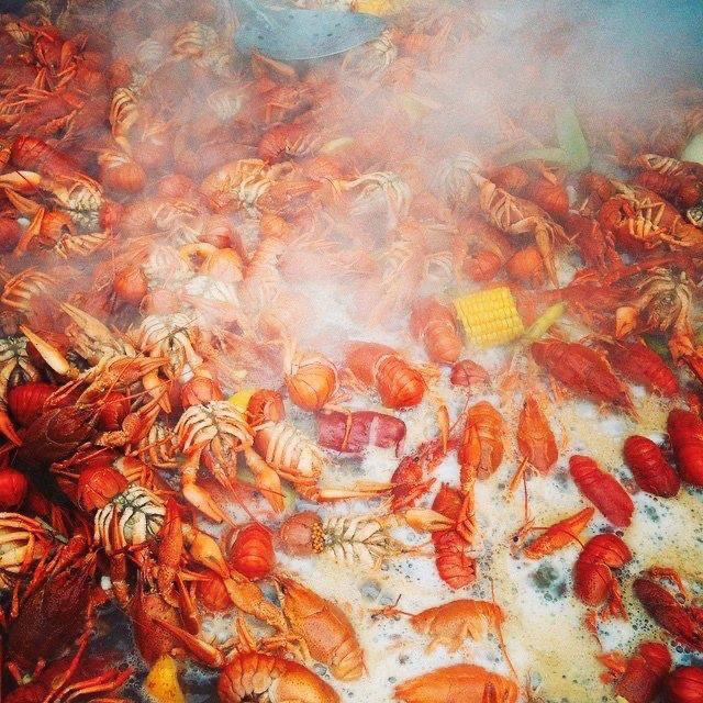 Яркие раки варятся в большом котле