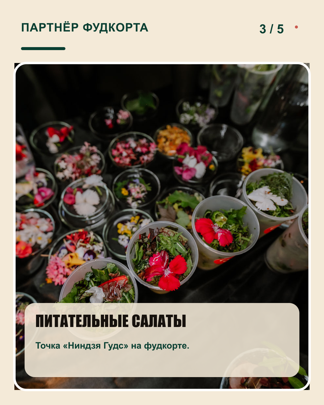 Питательные салаты Ниндзя Гудс